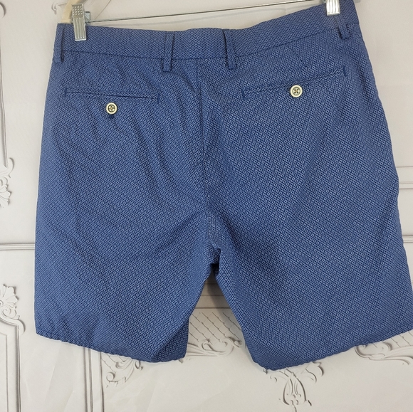 Mossimo Dutti Men's Blue Patterned Shorts Size 32 - Picture 3 of 4
